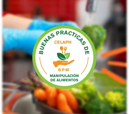 Curso Buenas Prácticas de Manipulación de Alimentos